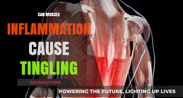 Muscle Inflammation and Tingling: What's the Connection?