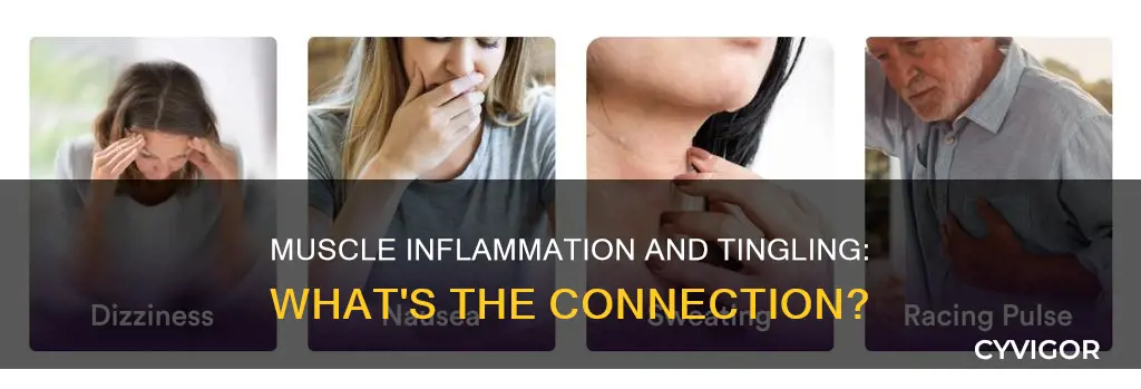 can muscle inflammation cause tingling