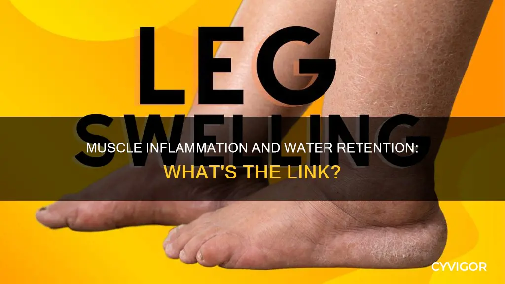 can muscle inflammation cause water retention