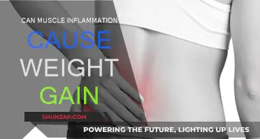 Muscle Inflammation: Unseen Weight Gain Culprit?