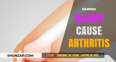 Muscle Injury: A Potential Trigger for Arthritis?