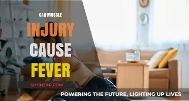 Muscle Injury and Fever: Is There a Link?