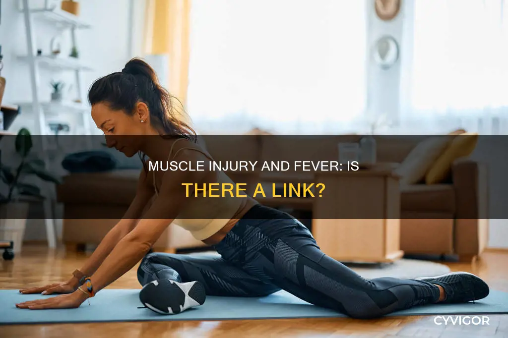 can muscle injury cause fever