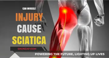 Muscle Injury and Sciatica: What's the Link?