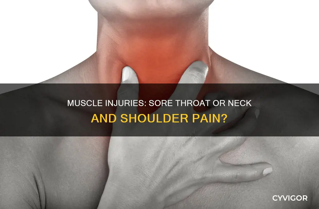 can muscle injury to neck and shoulder cause sore throat