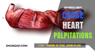 Muscle Knots and Heart Palpitations: What's the Link?