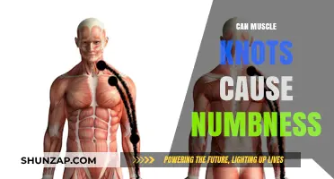 Muscle Knots: Numbness and Its Causes