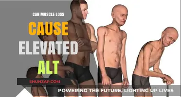 Muscle Loss and Elevated ALT: What's the Connection?