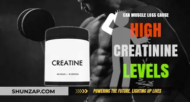 Muscle Loss and Creatinine: What's the Link?
