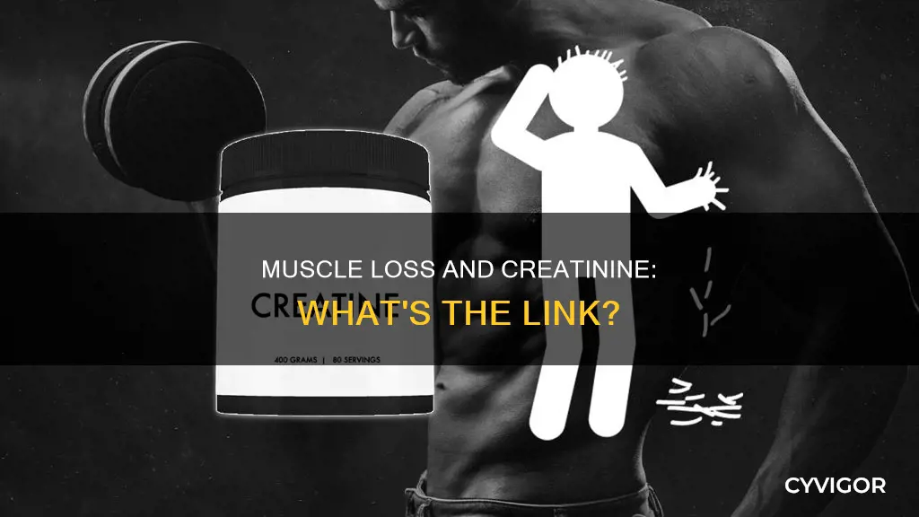 can muscle loss cause high creatinine levels