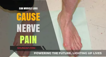 Muscle Loss and Nerve Pain: Is There a Link?