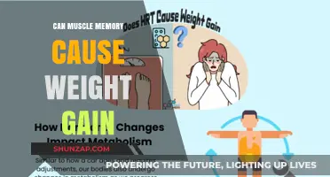 Muscle Memory: Can It Impact Weight Gain?