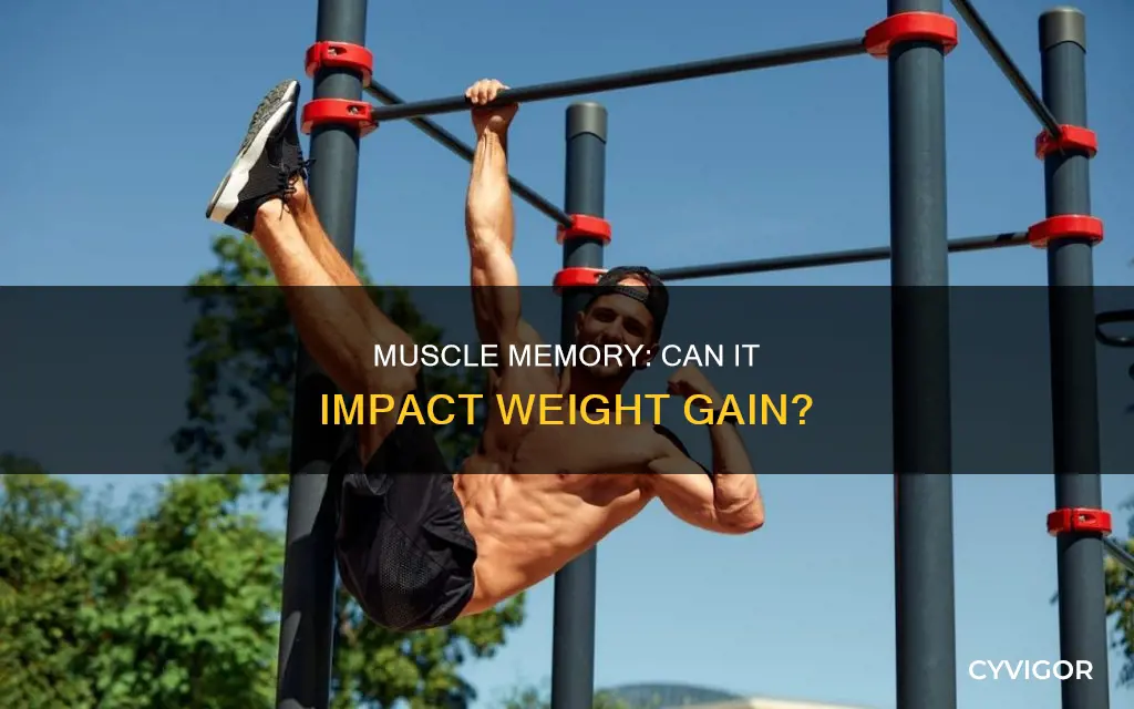 can muscle memory cause weight gain