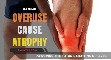 Overuse and Atrophy: What's the Real Damage?