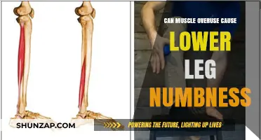 Muscle Overuse: Lower Leg Numbness Explained