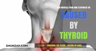 Thyroid Disorders: Muscle Pain and Stiffness Explained