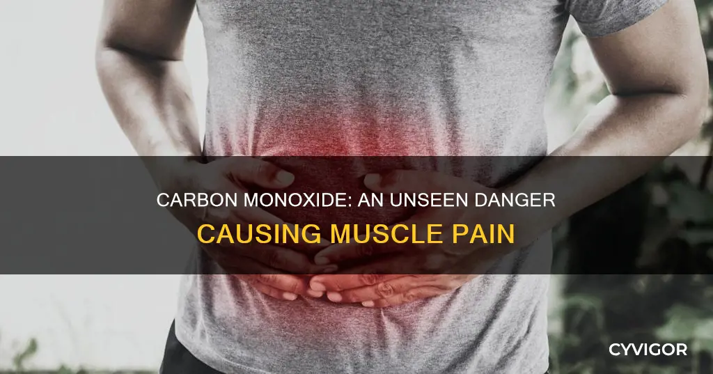 can muscle pain be cause by carbon monoxide