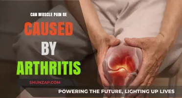 Arthritis and Muscle Pain: What's the Connection?