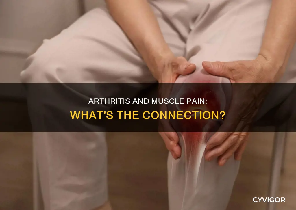 can muscle pain be caused by arthritis