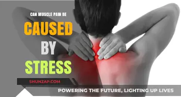 Stress and Muscle Pain: What's the Link?