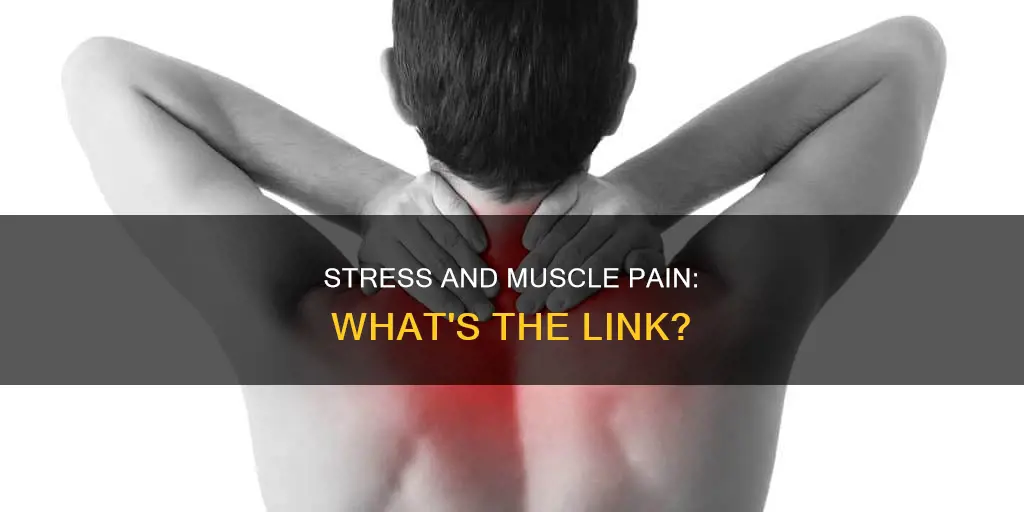 can muscle pain be caused by stress