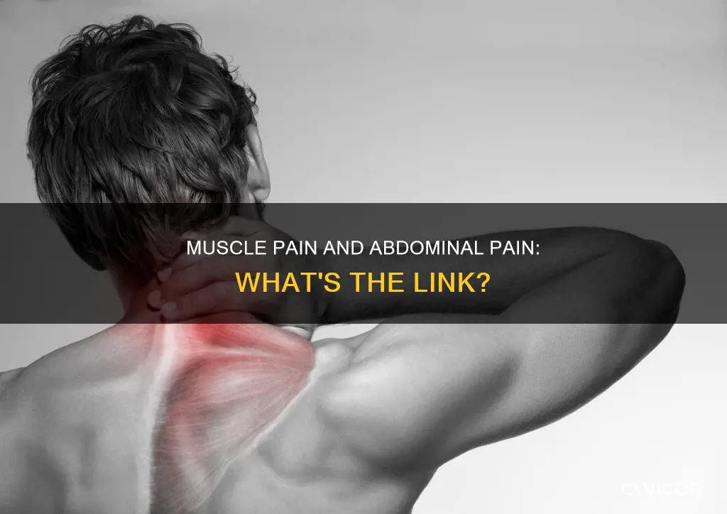 can muscle pain cause abdominal pain