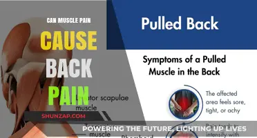 Muscle Pain: Understanding Its Link to Back Pain