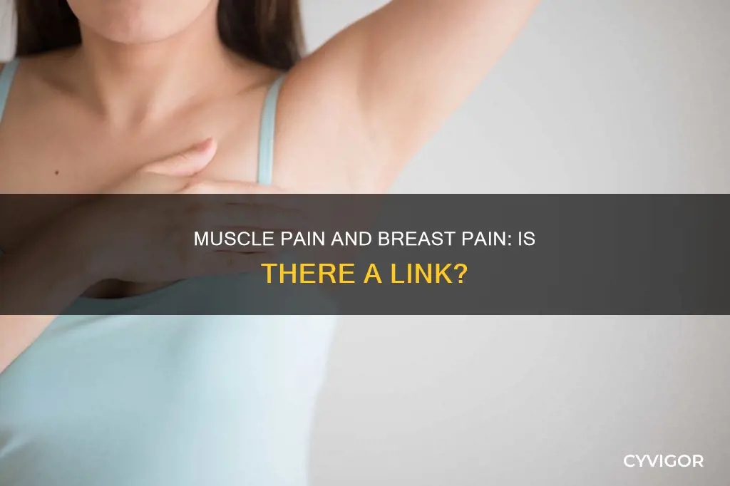 can muscle pain cause breast pain