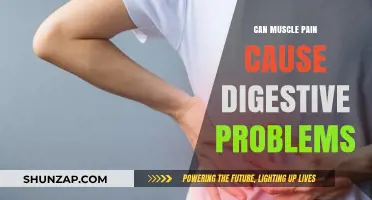 Muscle Pain and Digestive Issues: What's the Link?
