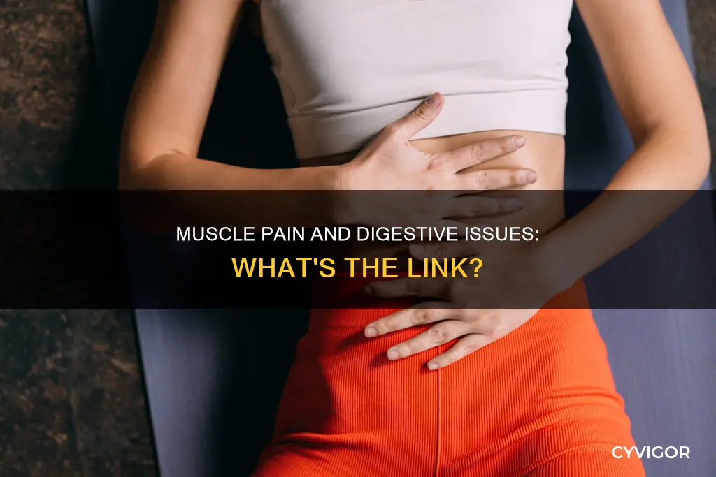 can muscle pain cause digestive problems