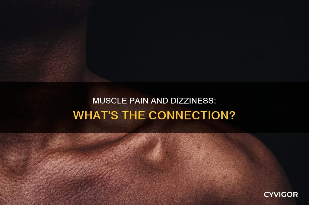 can muscle pain cause dizziness