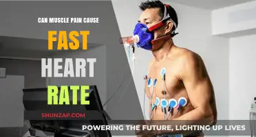 Heart Rate and Muscle Pain: What's the Link?