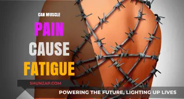 Muscle Pain and Fatigue: What's the Connection?