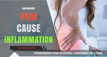Muscle Pain and Inflammation: What's the Link?