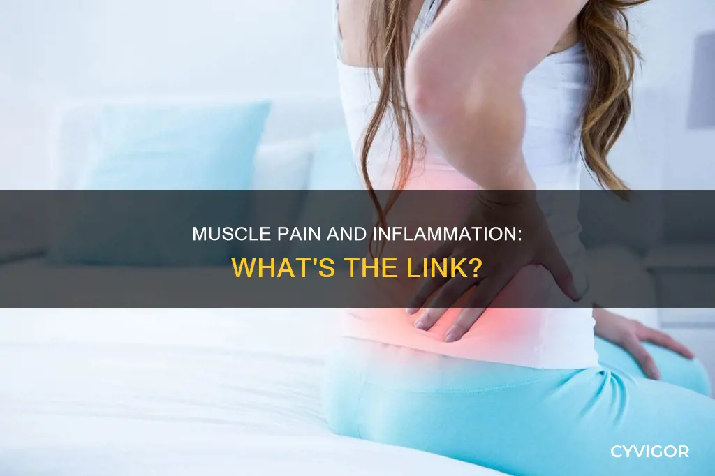 can muscle pain cause inflammation