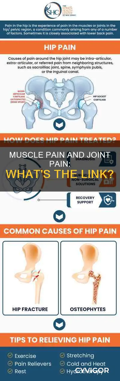can muscle pain cause joint pain