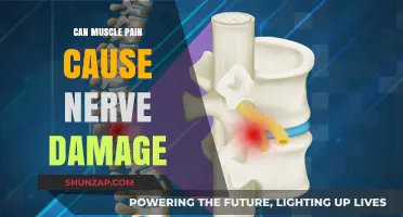 Muscle Pain and Nerve Damage: What's the Link?