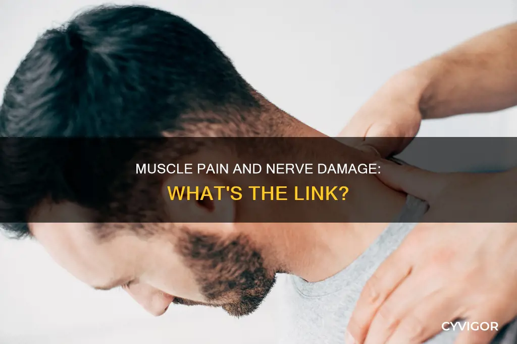 can muscle pain cause nerve damage