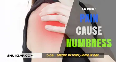 Muscle Pain and Numbness: What's the Link?