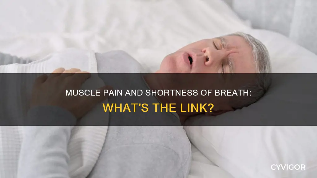 can muscle pain cause shortness of breath