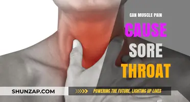 Muscle Pain and Sore Throat: Is There a Link?