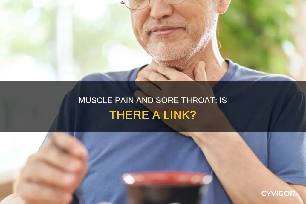can muscle pain cause sore throat