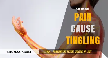 Muscle Pain and Tingling: What's the Connection?