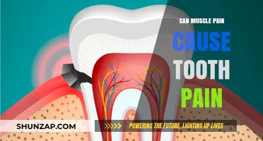 Muscle Pain and Toothaches: Is There a Link?
