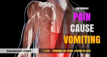 Muscle Pain and Vomiting: What's the Link?