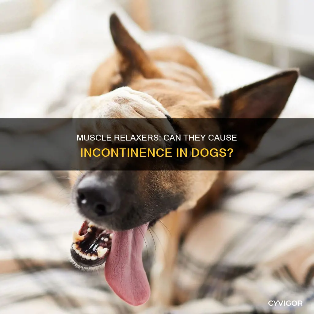 can muscle relaxers cause incontinence in dogs
