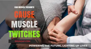 Muscle Twitching: The Link to Exams and Stress