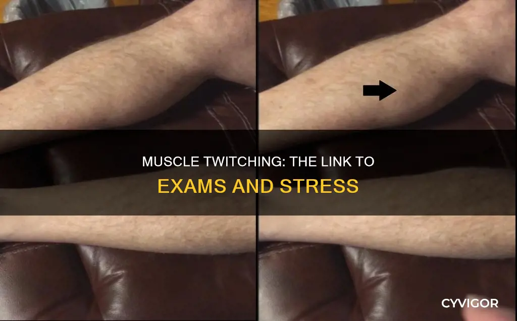 can muscle rexamts cause muscle twitches