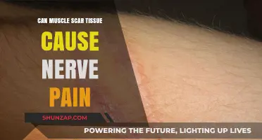 Scar Tissue and Nerve Pain: What's the Link?