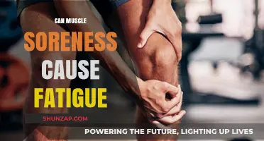 Muscle Soreness and Fatigue: What's the Connection?